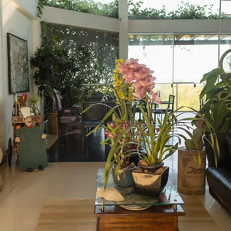Orquidea Cafe-2